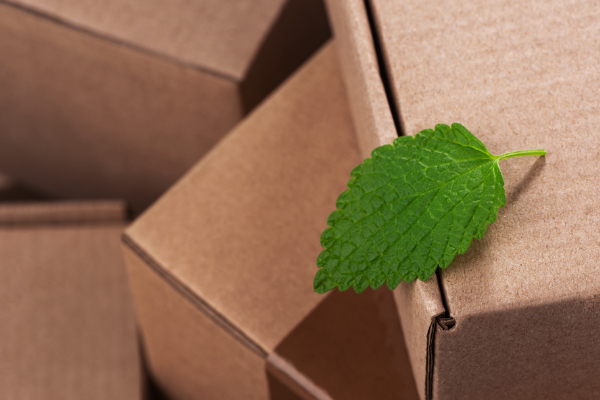 Is Biodegradable Packaging Better For The Environment